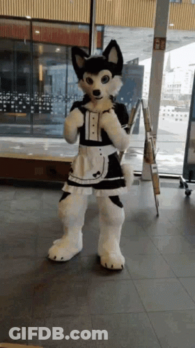 Husky Mascot Dressed As Maid GIF