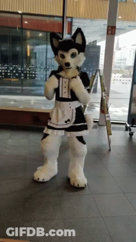 Husky Mascot Dressed As Maid GIF