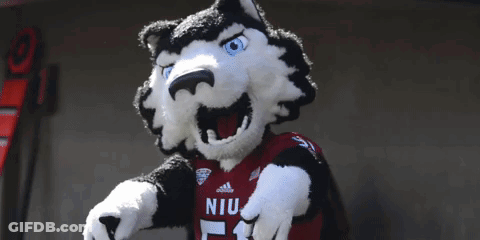 Husky Mascot In Red Adidas Shirt GIF