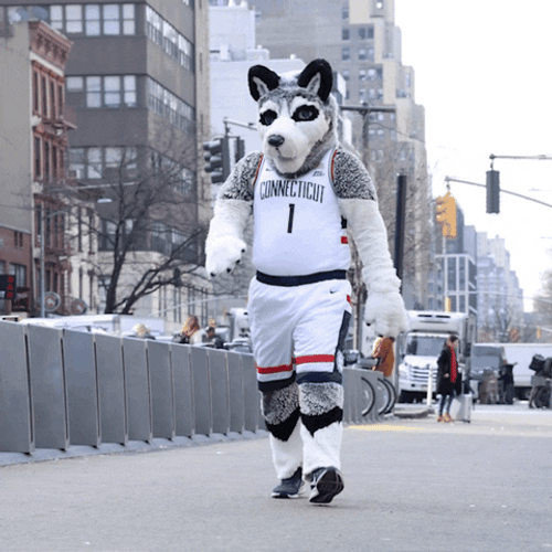 Husky Mascot Strutting Down The City Street GIF