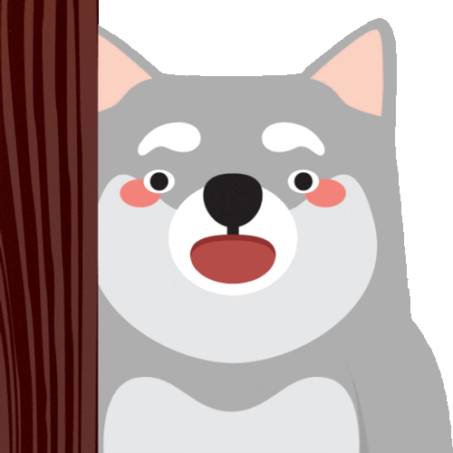 Husky Peekaboo In The Curtain GIF