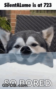Husky Peeking Over Table So Bored GIF