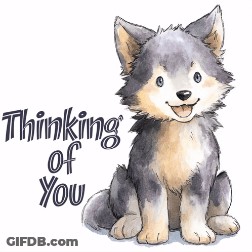 Husky Puppy Thinking Of You GIF