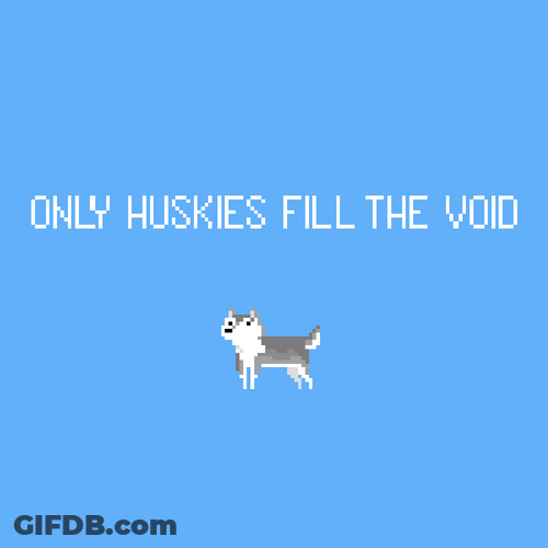 Husky GIF