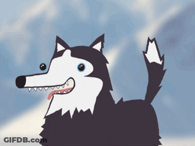 Husky Waving Hello Cheerfully GIF