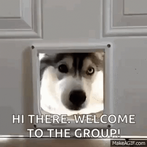Husky Welcome To The Team Meme GIF