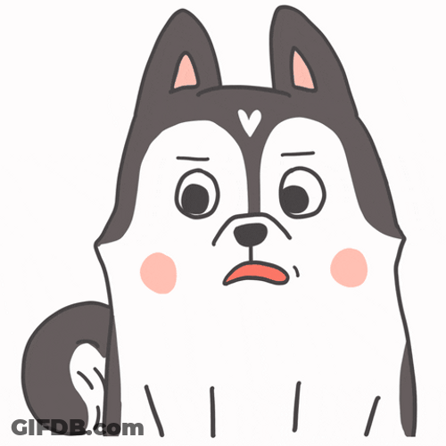 Husky With Attitude Gives Sassy Look GIF