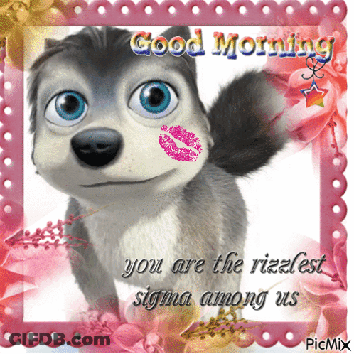 Husky With Kiss And Good Morning GIF