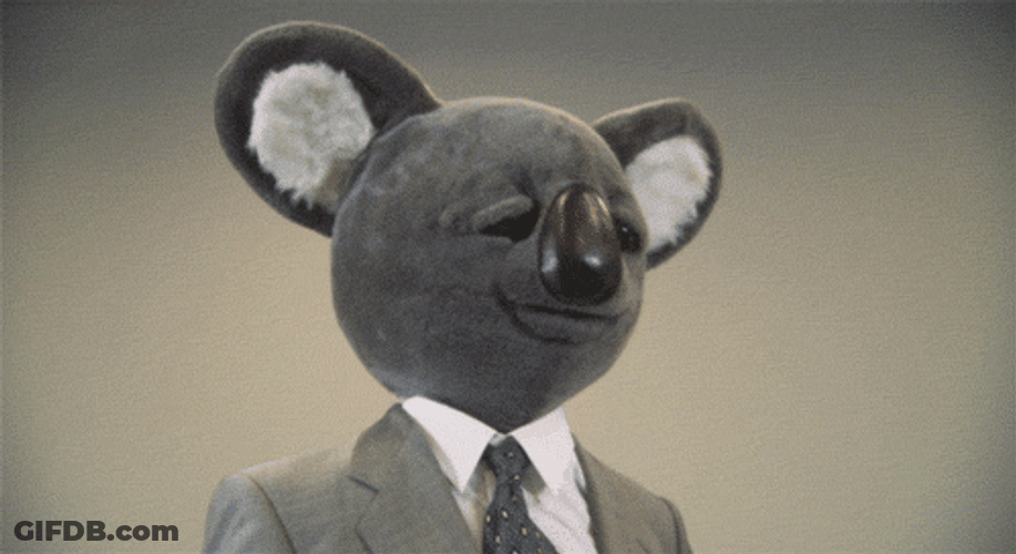 Huzzah Executive Koala Bear GIF
