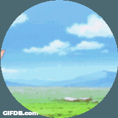 Hx H Hunter X Hunter Sticker GIF
