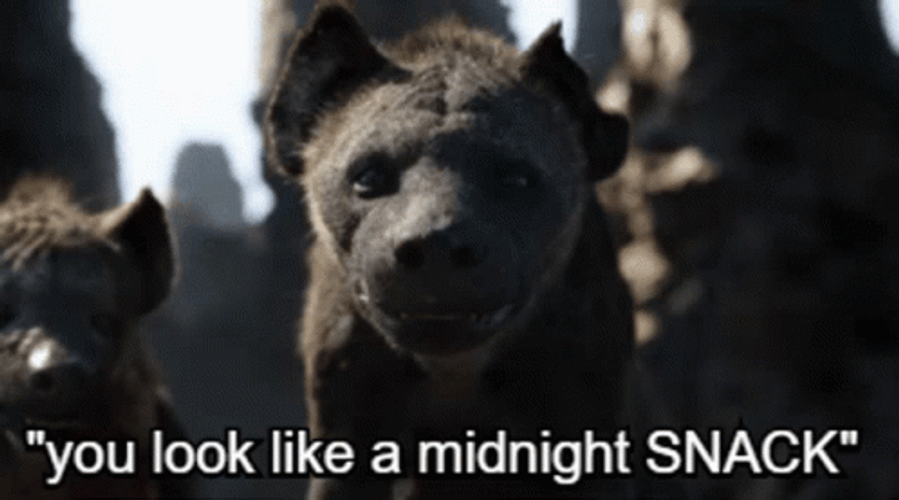 Hyena You Look Like Midnight Snacks GIF