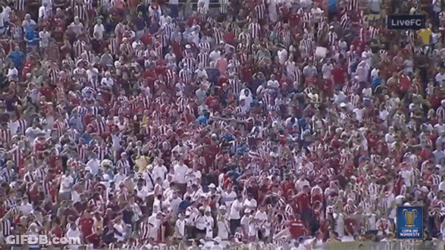 Hyped Crowd Cheering GIF