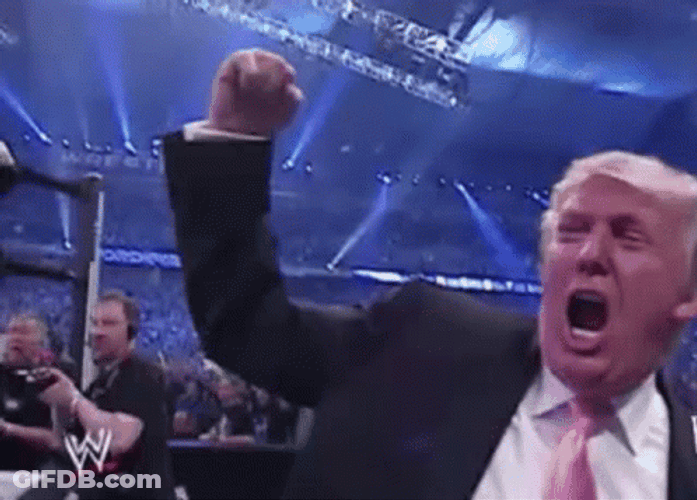 Hyped Moments Trump Wwe GIF