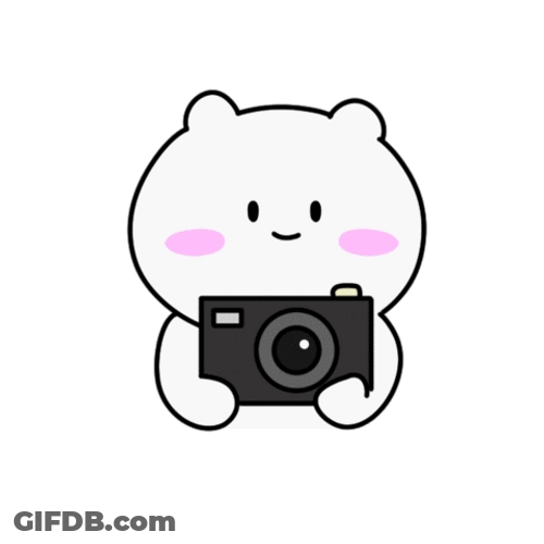 Hyper Bear Snapping Pictures GIF