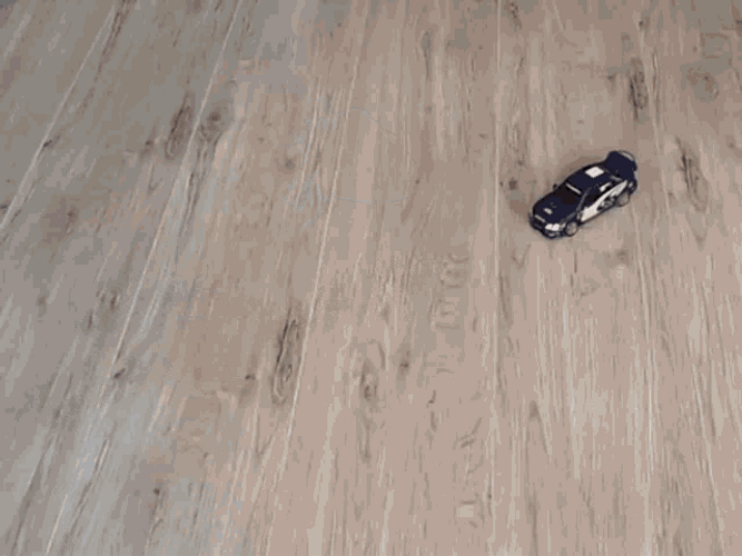 Hyper Ferret Animal GIF