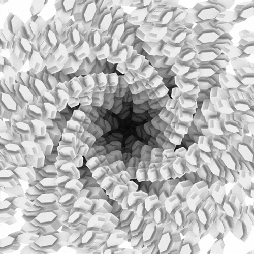 Hypno Black And White Tentacles GIF
