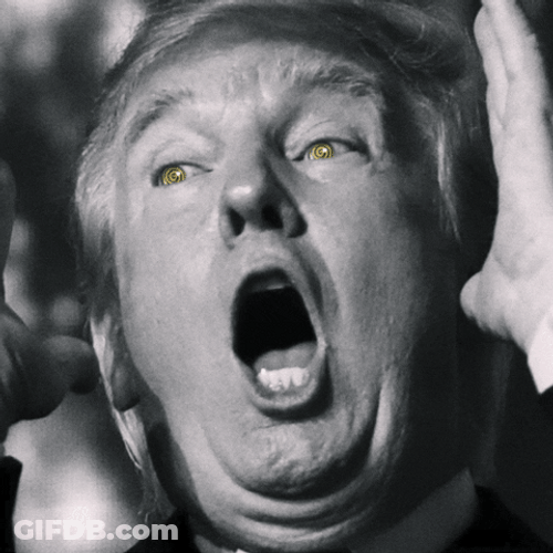Hypno Donald Trump GIF