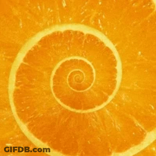 Hypnosis Orange Fruit Fiber Spiral Slow Motion GIF
