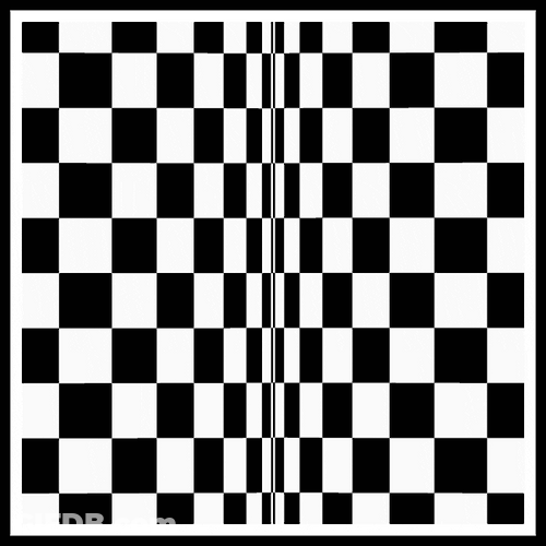 Hypnotic Optical Illusion Clashing Grids GIF