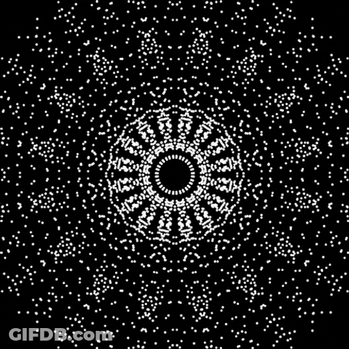 Hypnotic Optical Illusion Fractal Monochrome GIF