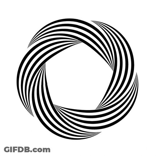 Hypnotic Optical Illusion Twisted Circles GIF