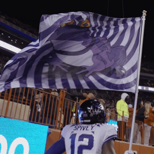Hypnotoad Frog Flag Football Meme GIF