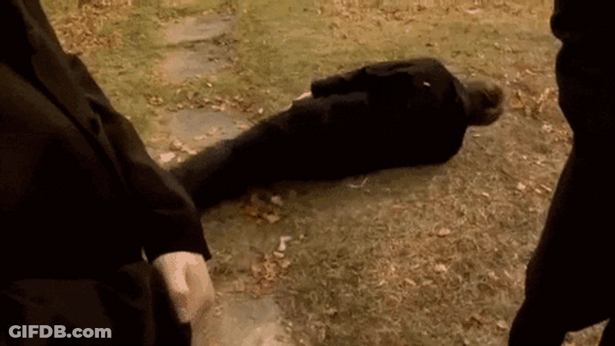 Hysterical Laughing ROFL GIF