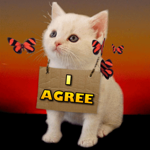 I Agree Cute Kitten Poster GIF