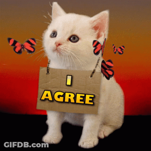 I Agree To You White Cat GIF