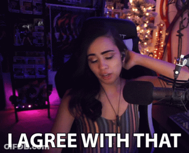 I Agree With That Streamer GIF