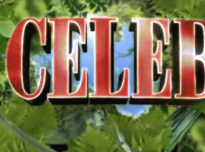 I Am A Celebrity Get Me Out Of Here GIF