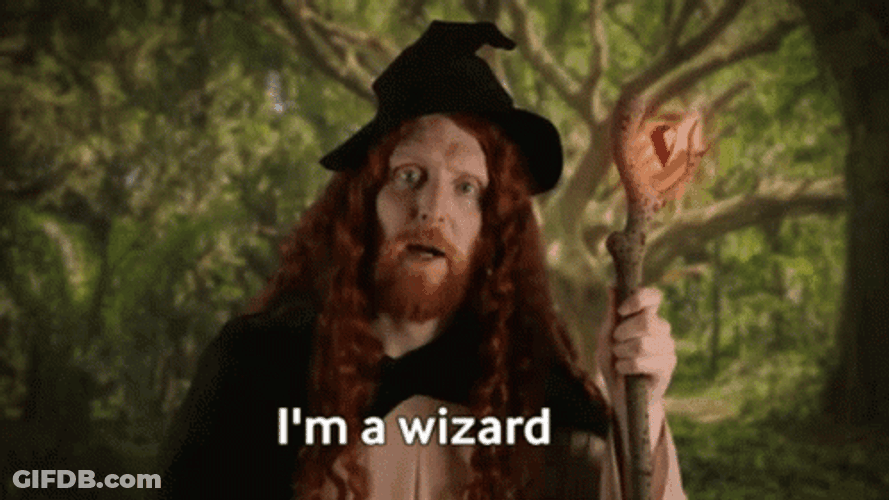 I Am A Wizard Guy GIF