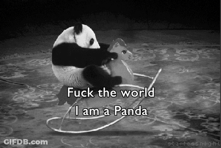 I Am Angry Panda GIF
