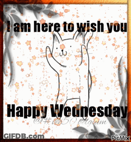 I Am Here To Wish You Happy Wednesday With A Cat GIF