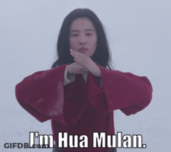 I Am Hua Mulan Liu Yifei GIF