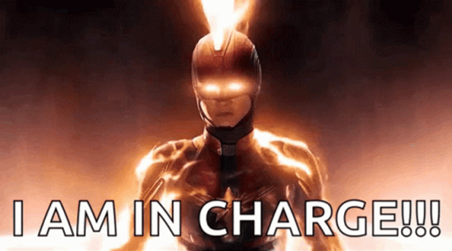 I Am In Charge So I Am The Captain Now GIF