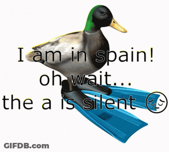 I Am In Spain Duck Spinning GIF