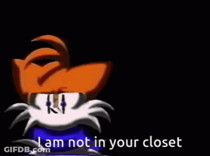 I Am Not Your Closet Sonic Meme GIF