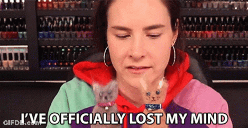 I Am Officially Losing My Mind GIF