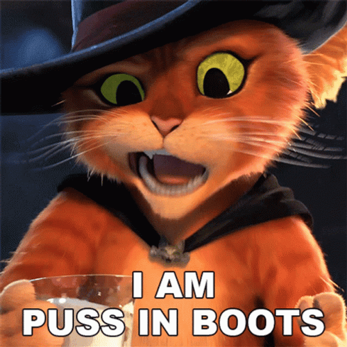 I Am Puss In Boots GIF