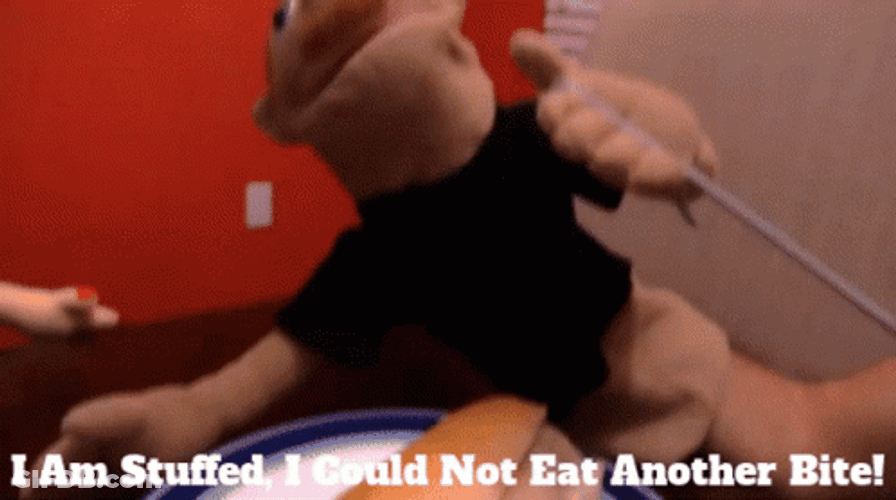 I Am So Full Couldn't Eat Another Bite GIF