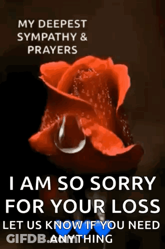I Am So Sorry For Your Loss Let Us Know If You Need Anything . GIF