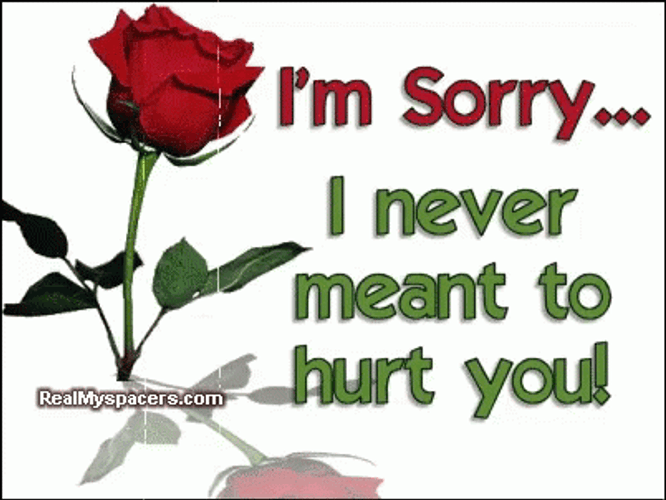 I Am Sorry Never Meant To Hurt You GIF