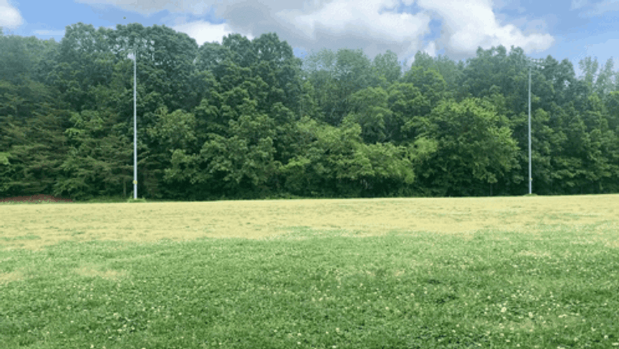 I Am Speed Running Through The Fields GIF