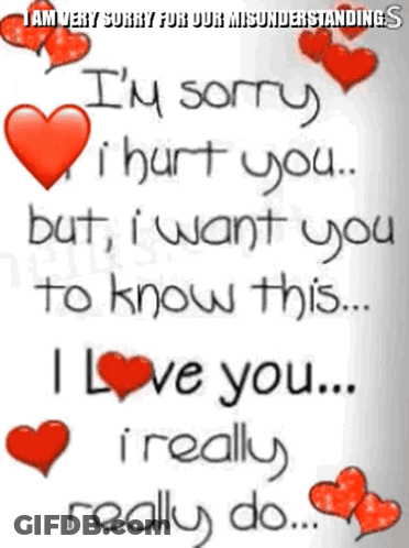Man Saying Sorry For Misunderstandings GIF