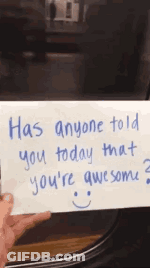 I Appreciate You Today You're Awesome GIF