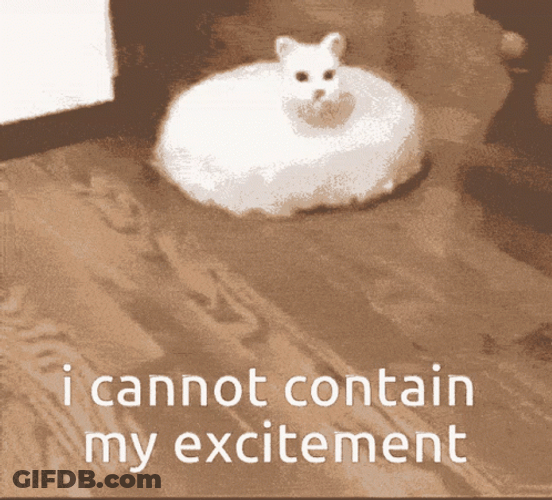 I Cannot Contain My Excitement GIF