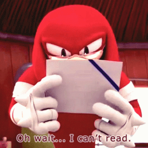 I Cant Read Knuckles The Echidna GIF