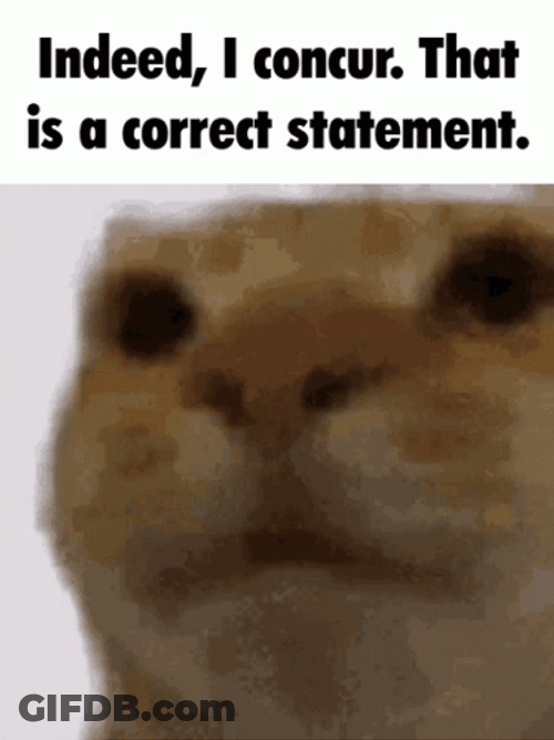 I Concur Ginger Cat Meme GIF