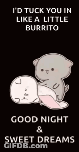 I'd Tuck You In Like A Little Burrito Good Night And Sweet Dreams GIF